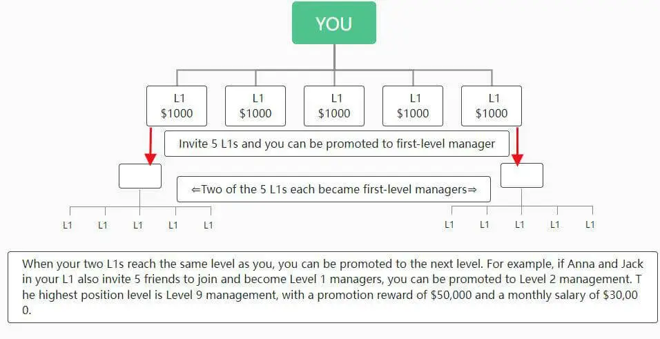 Real Wealth Starts with Smart Systems